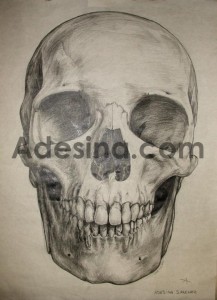 Photo of Adesina Sanchez's Skull drawing in dim lighting