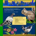 NYC Wildlife home page