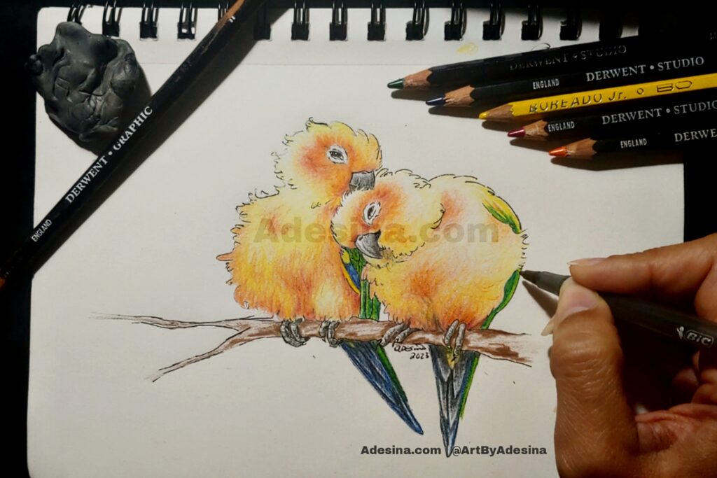 Cartoon drawing of two sun conures on a branch, by artist Adesina Sanchez