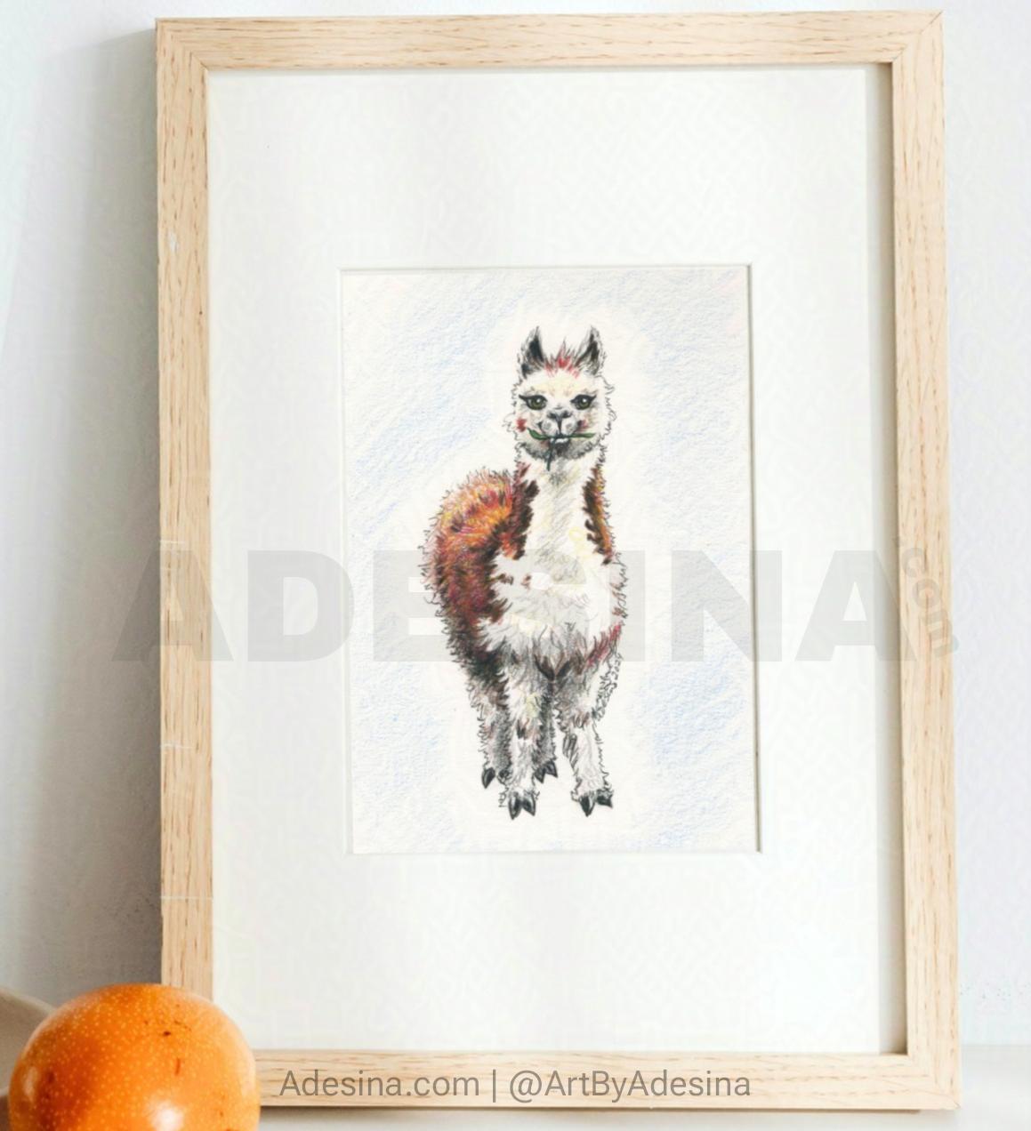 Framed alpaca drawing by Artist Adesina