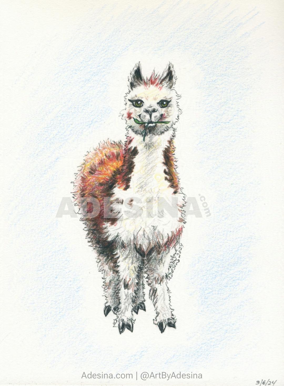 Alpaca drawing by Artist Adesina Sanchez